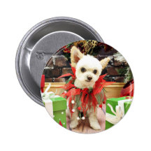 Christmas - Pomeranian X - Daisy Buttons