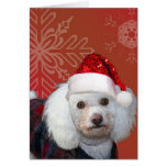Christmas poodle greeting cards