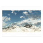 Christmas Postcard
