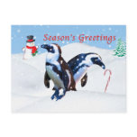 Christmas Postcard with Penguins in Snow
