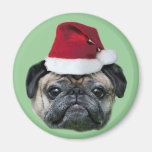 Christmas pug dog magnet