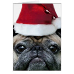 Christmas Pug dog notecard