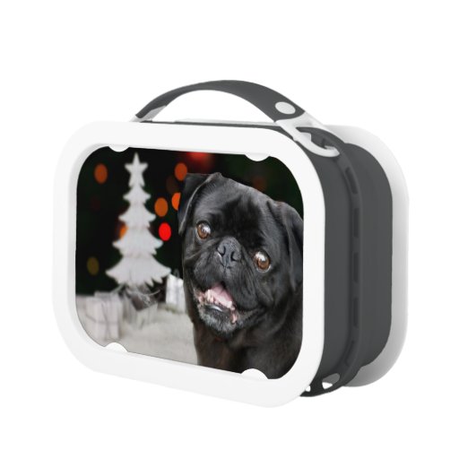 pug lunch box