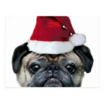 Christmas pug postcard
