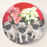 Christmas pug puppies coasters