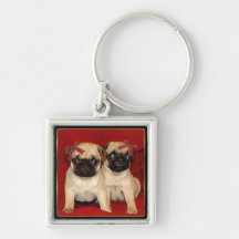 Christmas pug puppies key chains