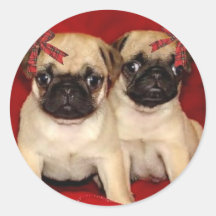 Christmas pug puppies sticker