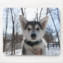 Christmas Puppy mousepads