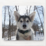 Christmas Puppy mousepads