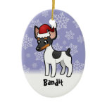 Christmas Rat Terrier / Toy Fox Terrier