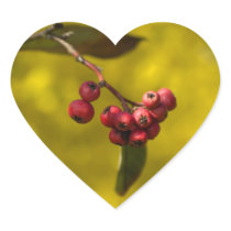 Christmas Red Berries