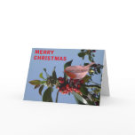 Christmas Reds cards