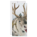 Christmas Reindeer Rack Card Design