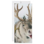 Christmas Reindeer Rack Card Design