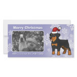 Christmas Rottweiler photo cards