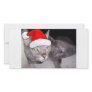 Christmas Santa Gray Cats Custom Photo Card