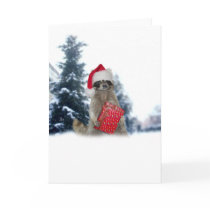 Christmas Santa Racoon Bandit Cards
