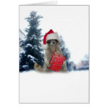Christmas Santa Racoon Bandit Cards