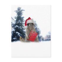 Christmas Santa Racoon Bandit Post Cards