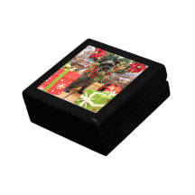 Christmas - Schnauzer - Fenway Trinket Boxes