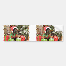 Christmas - Schnoodle - Rookie Bumper Stickers