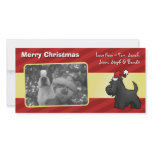 Christmas Scottish Terrier photo cards