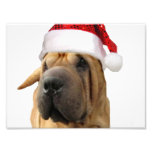 Christmas Shar Pei dog photo print photography