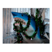 Christmas Shark postcard
