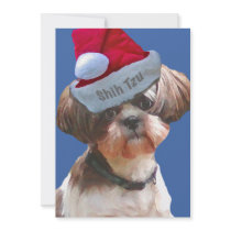 Christmas Shih Tzu 10 pk  Cards
