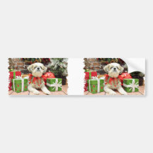 Christmas - Shih Tzu - Bailey Bumper Stickers