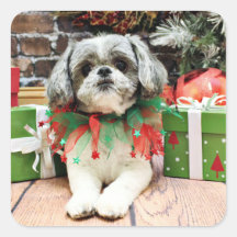 Christmas - Shih Tzu - Boomer Square Stickers