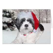 Christmas Shih Tzu Card