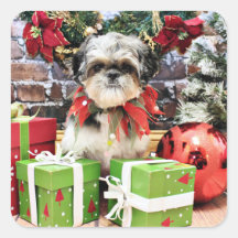 Christmas - Shih Tzu - Daisy Sticker