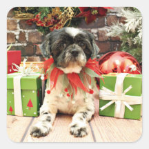 Christmas - Shih Tzu - Muttly Square Sticker