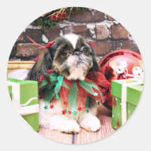 Christmas - Shih Tzu - Willie Round Sticker