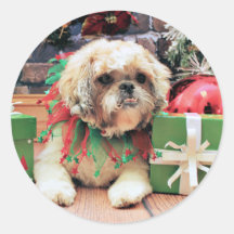 Christmas - Shih Tzu - Wriggley Round Stickers