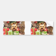 Christmas - Silky Terrier - Haley Bumper Stickers