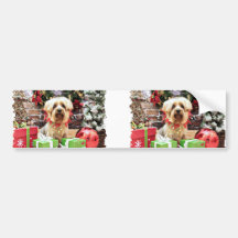 Christmas - Silky Terrier - Loki Bumper Stickers