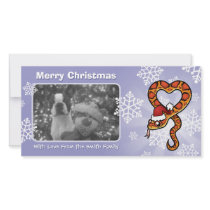 Christmas Snake