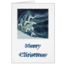 Christmas Snowdrops Cards