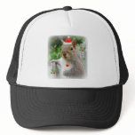 Christmas Squirrel 2010