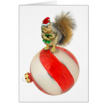 Christmas Squirrel Cards