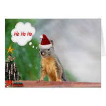 Christmas Squirrel Saying Ho Ho Ho Greeting Cards