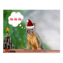 Christmas Squirrel Saying Ho Ho Ho Postcards