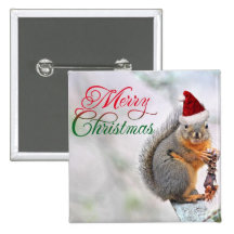 Christmas Squirrel Wearing Santa Claus Hat Pinback Buttons