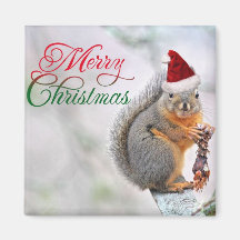 Christmas Squirrel Wearing Santa Claus Hat Refrigerator Magnet