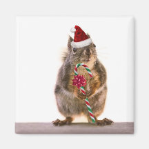 Christmas Squirrel with Candy Cane Refrigerator Magnet