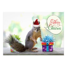 Christmas Squirrel with Christmas Presents Announcement