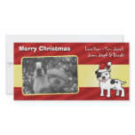 Christmas Staffordshire Bull Terrier photo cards