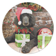 Christmas - Standard Poodle - Bronco Dinner Plate
